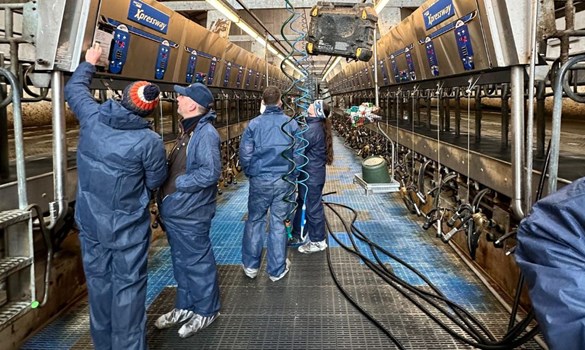 Group of people wearing overalls in a milking parlour.